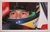 Ayrton Senna da Silva, Als Andenken, 8 Kunstdruck Poster